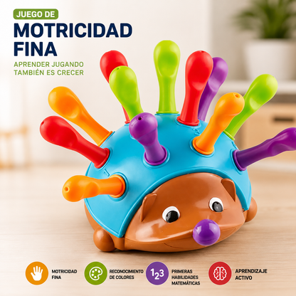 JUGUETE ERIZO MOTRICIDAD FINA MONTESSORI